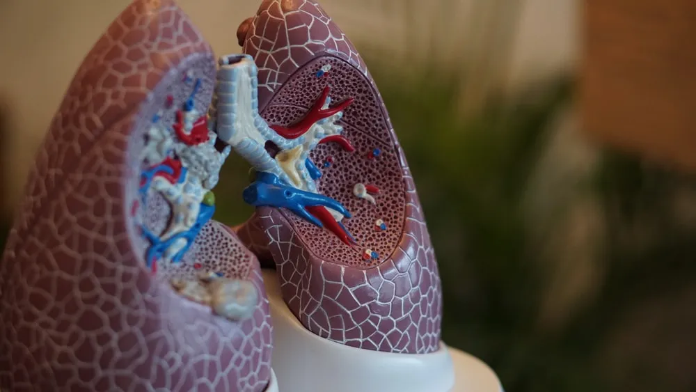 7 nepříliš zjevných příznaků selhání plic